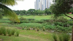 Blk 251 Bishan Street 22 (Bishan), HDB 5 Rooms #180634202